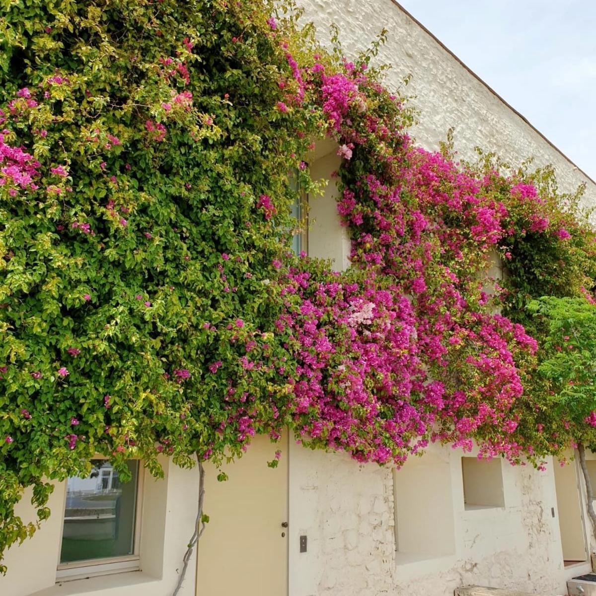 Apartamento Convento Das Bernadas Ταβίρα Εξωτερικό φωτογραφία